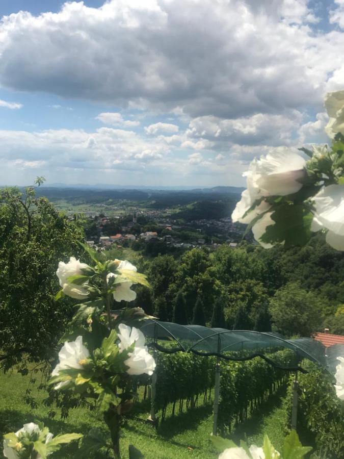 Apartamento Kuca Za Odmor Magdalena&V Krapina Exterior foto