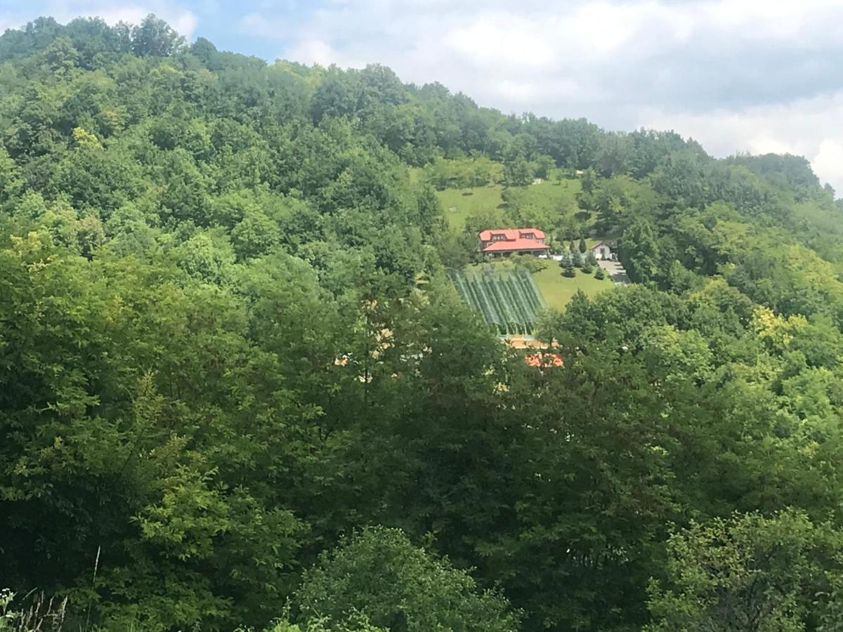 Apartamento Kuca Za Odmor Magdalena&V Krapina Exterior foto