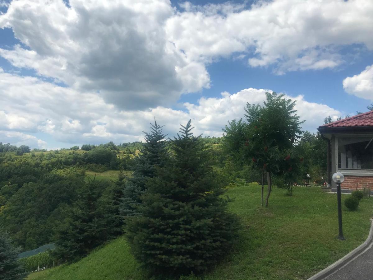Apartamento Kuca Za Odmor Magdalena&V Krapina Exterior foto